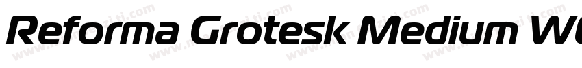 Reforma Grotesk Medium W08 Rg字体转换